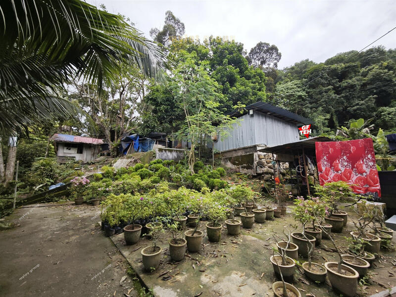 Agricultural Land for Sale in Taman Sri Tunas (Bayan Lepas) - Teh Guan Fong - PropertyGuru.com.my