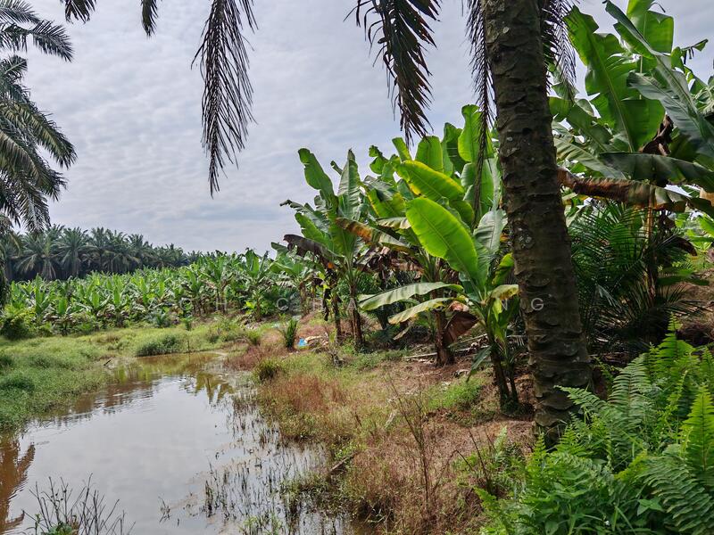 Untuk Disewa - Kluang @ Sri Lalang, Taman Ria