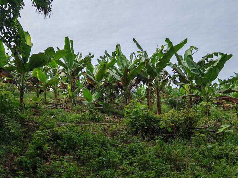 Untuk Disewa - Kluang @ Sri Lalang, Taman Ria