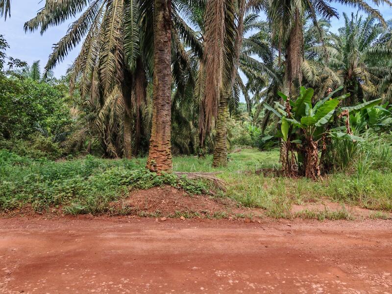 Untuk Disewa - Kluang @ Sri Lalang, Taman Ria