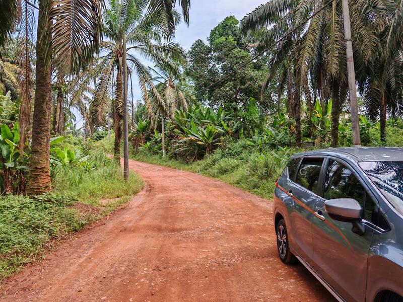 Untuk Disewa - Kluang @ Sri Lalang, Taman Ria
