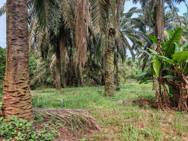 Untuk Disewa - Kluang @ Sri Lalang, Taman Ria