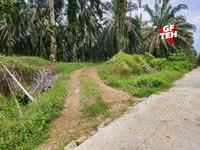 For Sale - 8.457 acre Agricultural Land | Selama | Perak Rm3.68psf