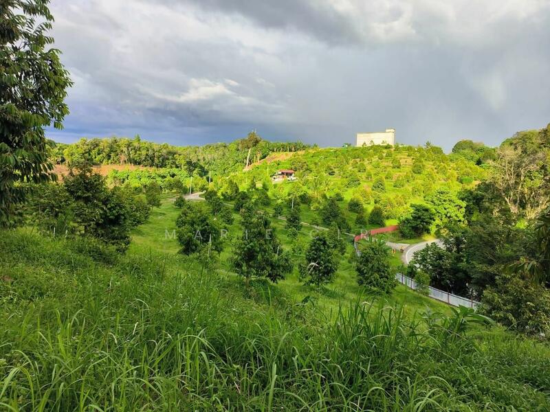 Untuk Dijual - Agricultural Land at Kampung Sumpitan