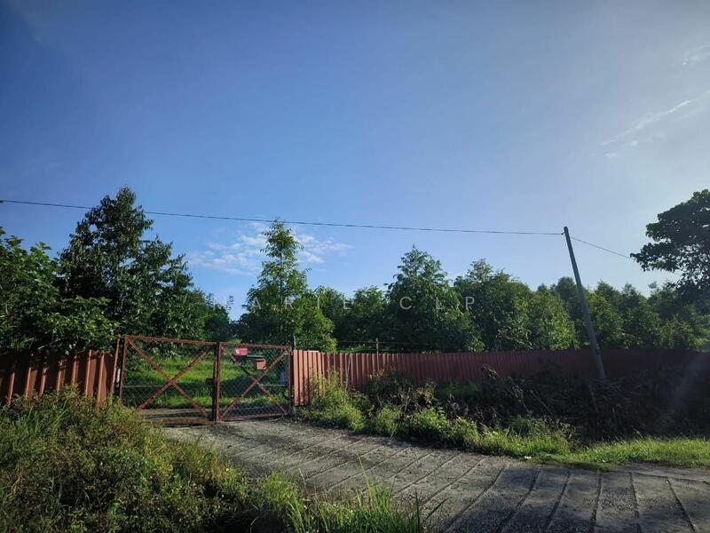 Untuk Dijual - Agricultural Land at Kampung Sumpitan