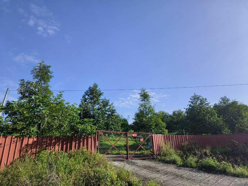 Untuk Dijual - Agricultural Land at Kampung Sumpitan