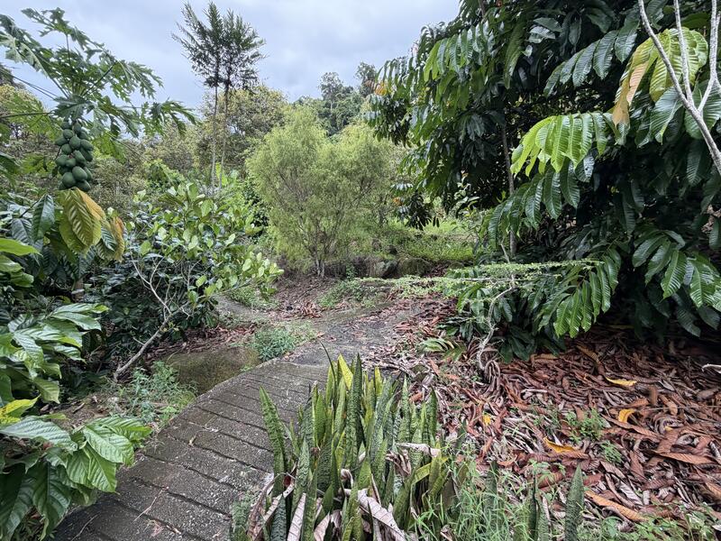 Agricultural Land for Sale in Teluk Kumbar (Penang) - Brian Teh - PropertyGuru.com.my