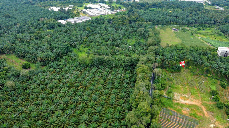 Residential Land for Sale in Bukit Teh (Bukit Mertajam) - Teh Guan Fong - PropertyGuru.com.my