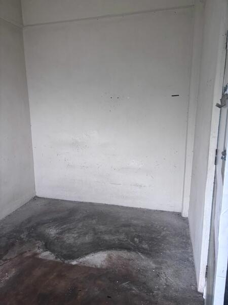 Untuk Dijual - Stulang Laut