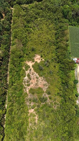 For Sale - Senai Senai Senais