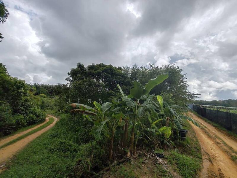 For Sale - Senai Senai Senais