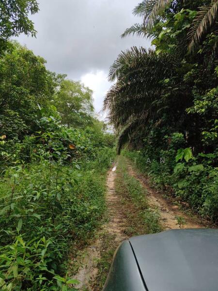 For Sale - Senai Senai Senais