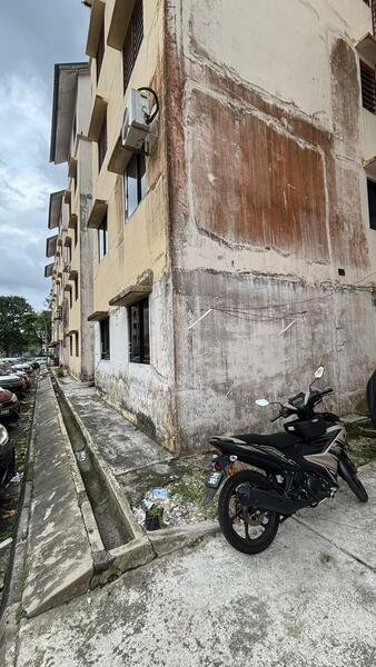 For Sale - Flat Daisy