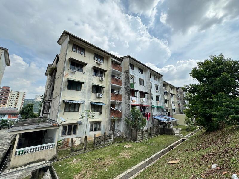 Untuk Dijual - Kelumpuk Dahlia / Melati