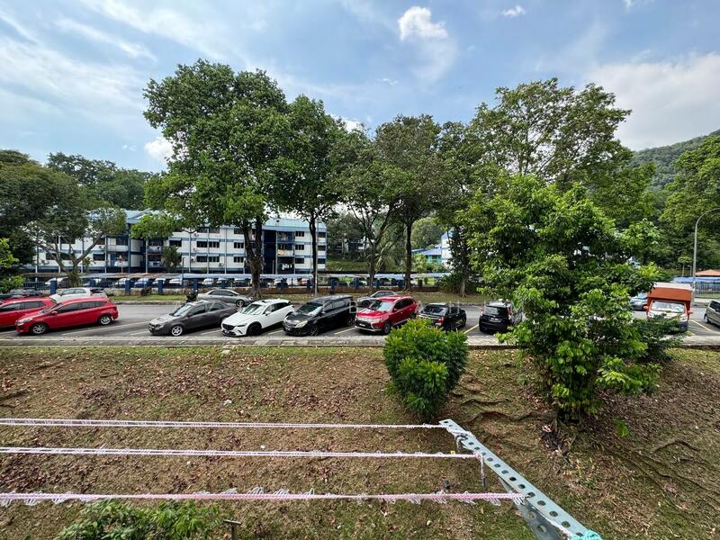 Untuk Dijual - Kelumpuk Dahlia / Melati