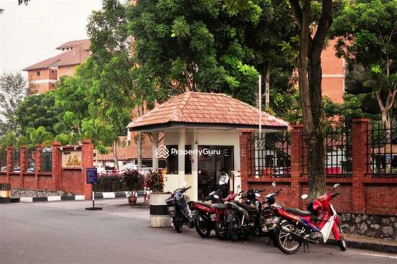 Untuk Dijual - Evergreen Park Scot Pine