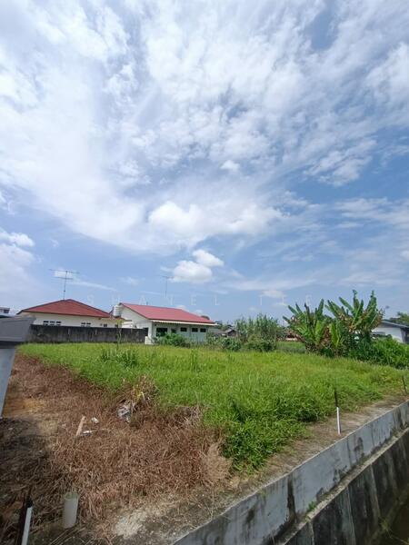 Untuk Dijual - Layang-Layang