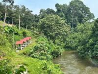 For Sale - Freehold Glamping & Dusun Buah Kuala Kubu Bharu