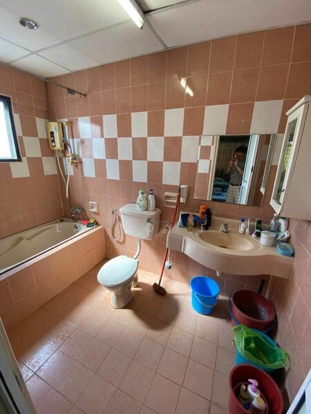 Untuk Disewa - Evergreen Park Scot Pine