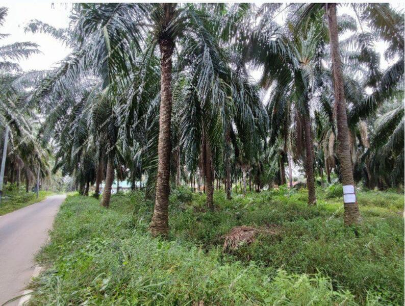 For Sale - Kampung Baru Telok Ramunia Bank Lelong House Auction Date 12-Jan-26