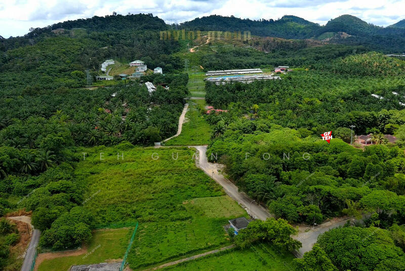 Agricultural Land for Sale in Kampung Jawi (Sungai Jawi) - Teh Guan Fong - PropertyGuru.com.my