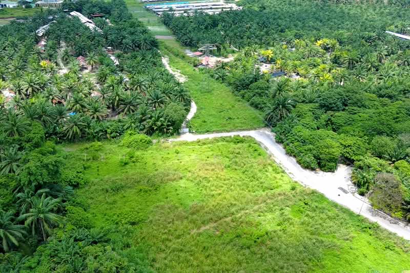 Agricultural Land for Sale in Kampung Jawi (Sungai Jawi) - Teh Guan Fong - Exterior - PropertyGuru.com.my