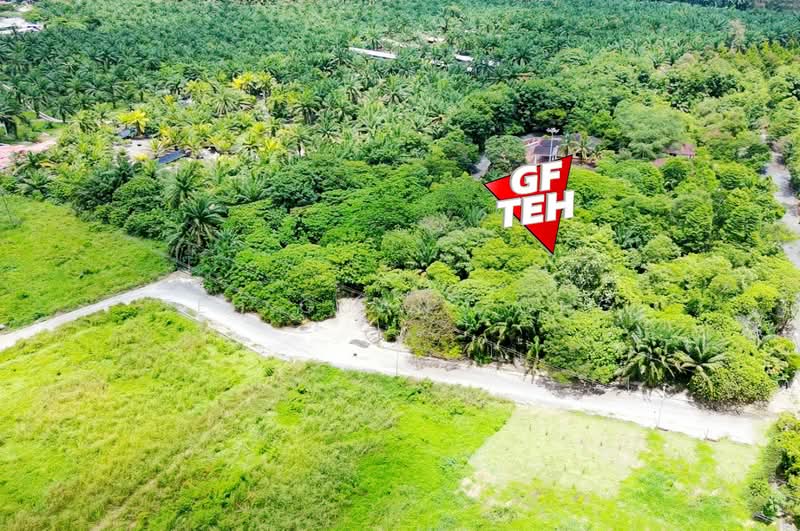 Tanah Pertanian untuk Dijual di Kampung Jawi (Sungai Jawi) - Teh Guan Fong - Exterior - PropertyGuru.com.my