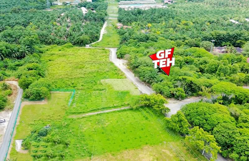 Tanah Pertanian untuk Dijual di Kampung Jawi (Sungai Jawi) - Teh Guan Fong - Exterior - PropertyGuru.com.my