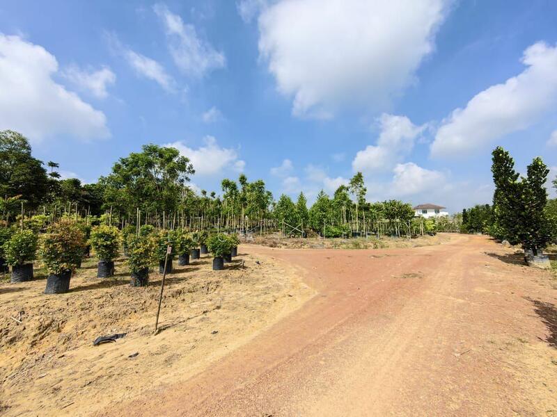 Untuk Dijual - Agricultural Land at Taman Yong Peng Jaya