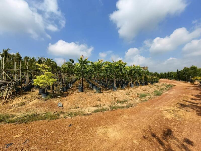 Untuk Dijual - Agricultural Land at Taman Yong Peng Jaya