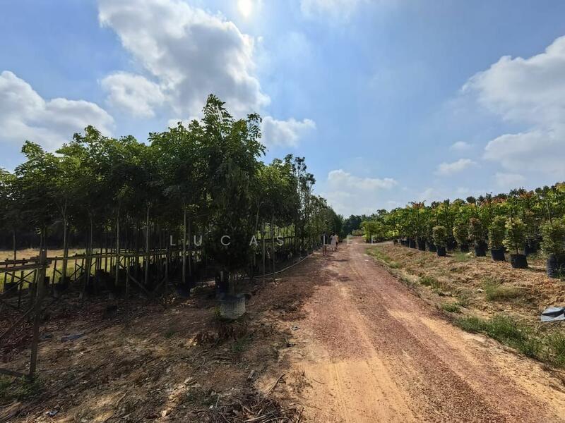Untuk Dijual - Agricultural Land at Taman Yong Peng Jaya