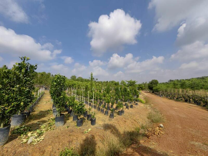 Untuk Dijual - Agricultural Land at Taman Yong Peng Jaya
