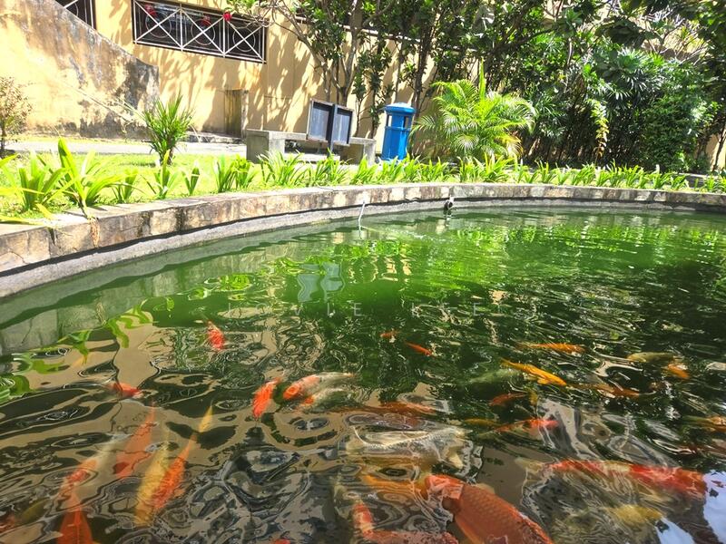 Untuk Dijual - Koi Tropika