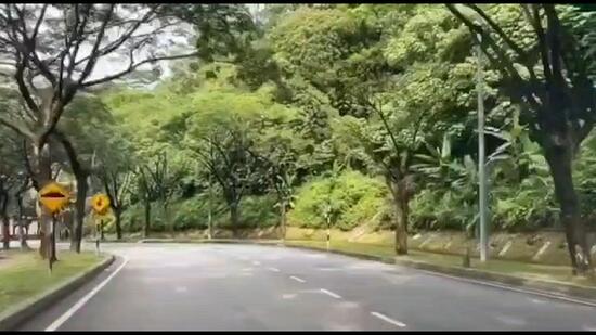 WELCOME TO THE RAFFLESIA , A HILL~TOP DEVELOPMENT @ DAMANSARA PERDANA ...