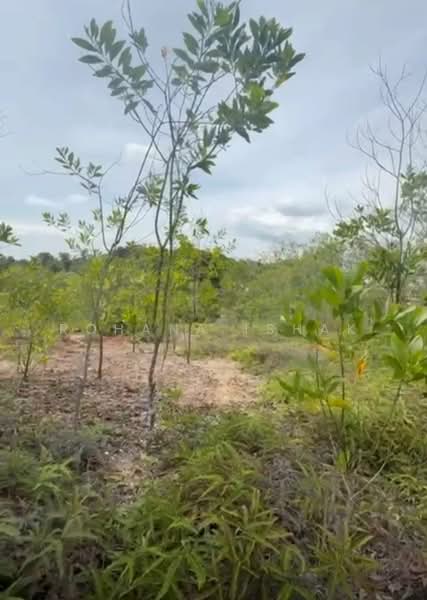 Residential Land for Sale in Shah Alam (Selangor) - Rohana Ishak - Garden - PropertyGuru.com.my