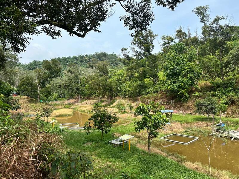 For Sale - Kuala Kubu Bharu Glamping Camp Dan Kebun Durian Untuk di Jual