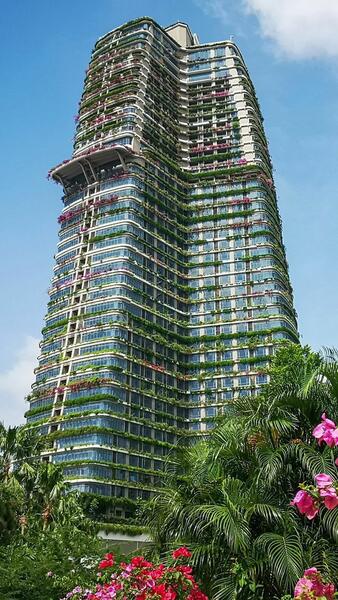 For Rent - Starview Bay @ Forest City