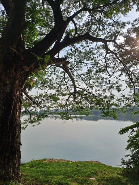 For Sale - Cascadia Lake Vista