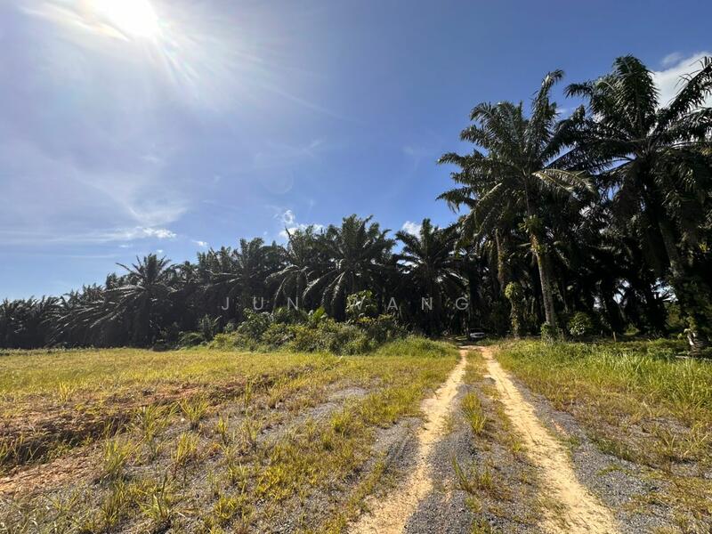 Untuk Dijual - Residential Land @ Pekan Nanas
