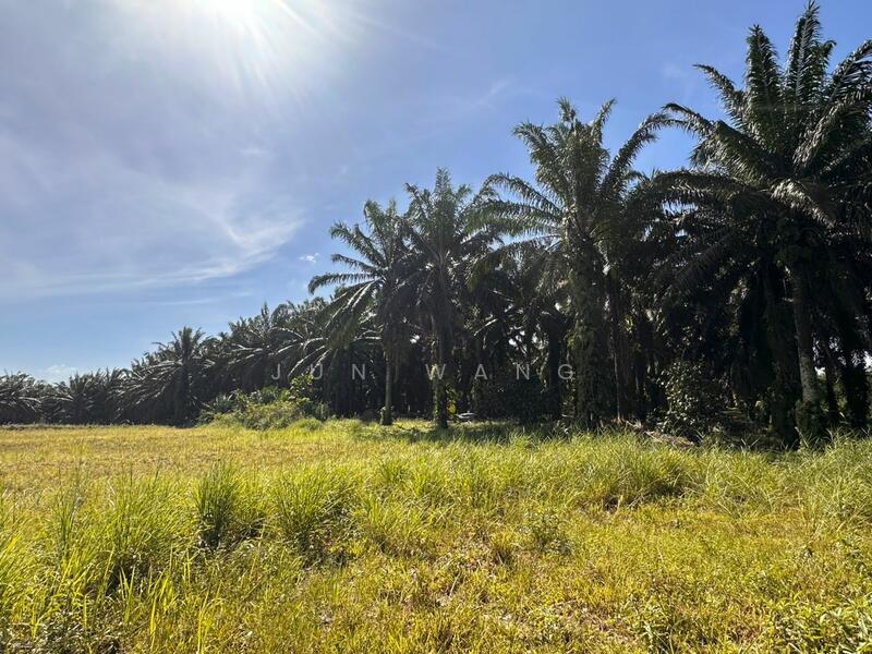 Untuk Dijual - Residential Land @ Pekan Nanas