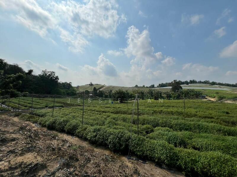 For Sale - Kempas Kempas Kempass