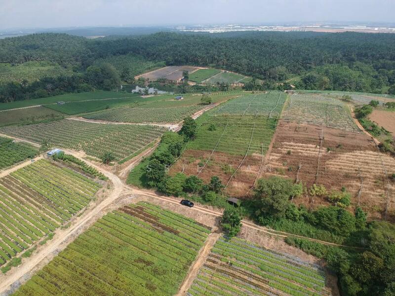 For Sale - Kempas Kempas Kempass