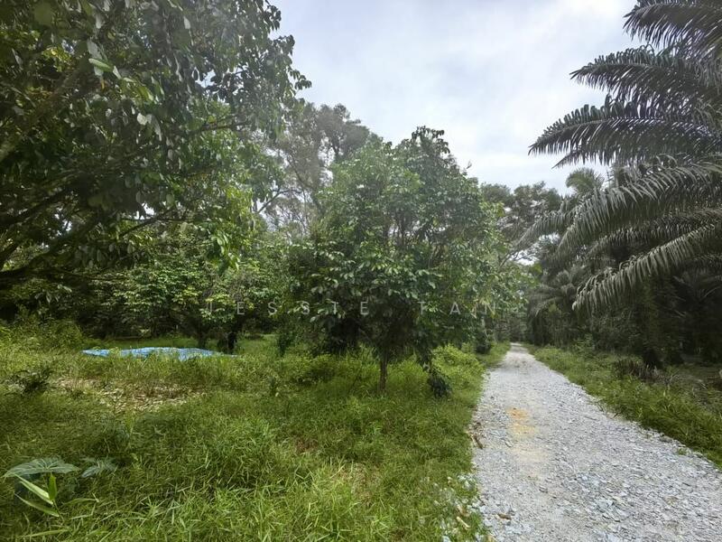 Agricultural Land for Sale in Kampung Rambah (Pontian) - Jessie Tan - PropertyGuru.com.my