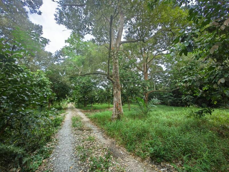 Agricultural Land for Sale in Kampung Rambah (Pontian) - Jessie Tan - PropertyGuru.com.my