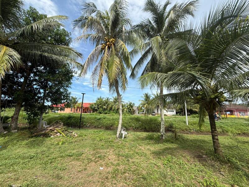 Agricultural Land for Rent in Pekan Kuala Kedah (Kuala Kedah) - Rashid Sukri - PropertyGuru.com.my