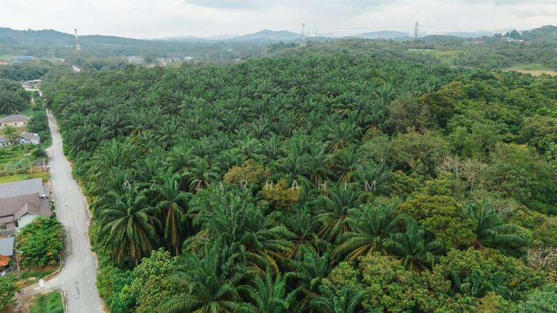 Agricultural Land for Sale in Kampung Jenderam Hulu (Dengkil) - Azizirrahim . - PropertyGuru.com.my