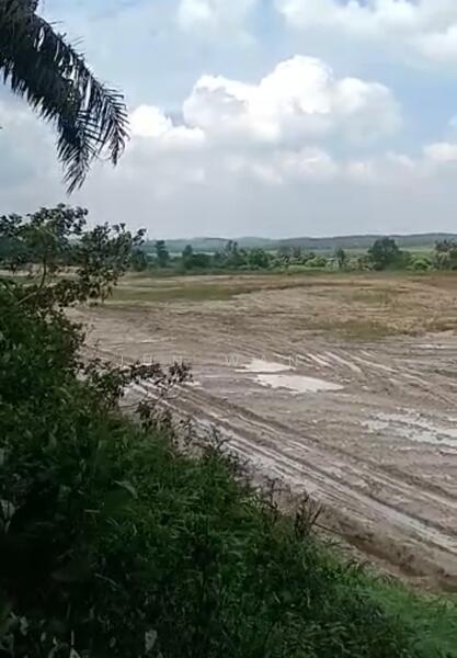 For Sale - Agricultural Land @ Kota Tinggi