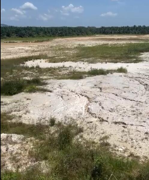 For Sale - Agricultural Land @ Kota Tinggi