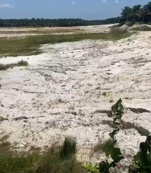 For Sale - Agricultural Land @ Kota Tinggi