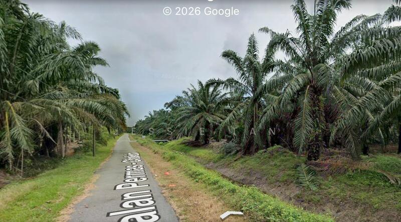 For Sale - Kukup Kukup Kukups